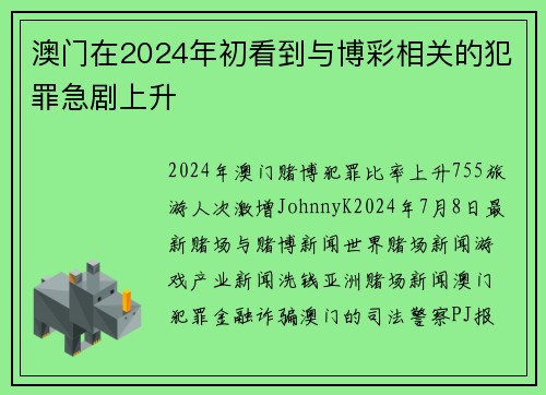 澳门在2024年初看到与博彩相关的犯罪急剧上升